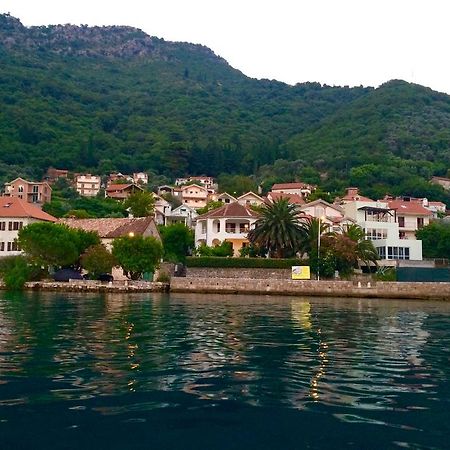 Apartments Oasis Tivat Kültér fotó